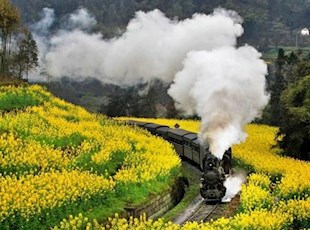 旅游资源