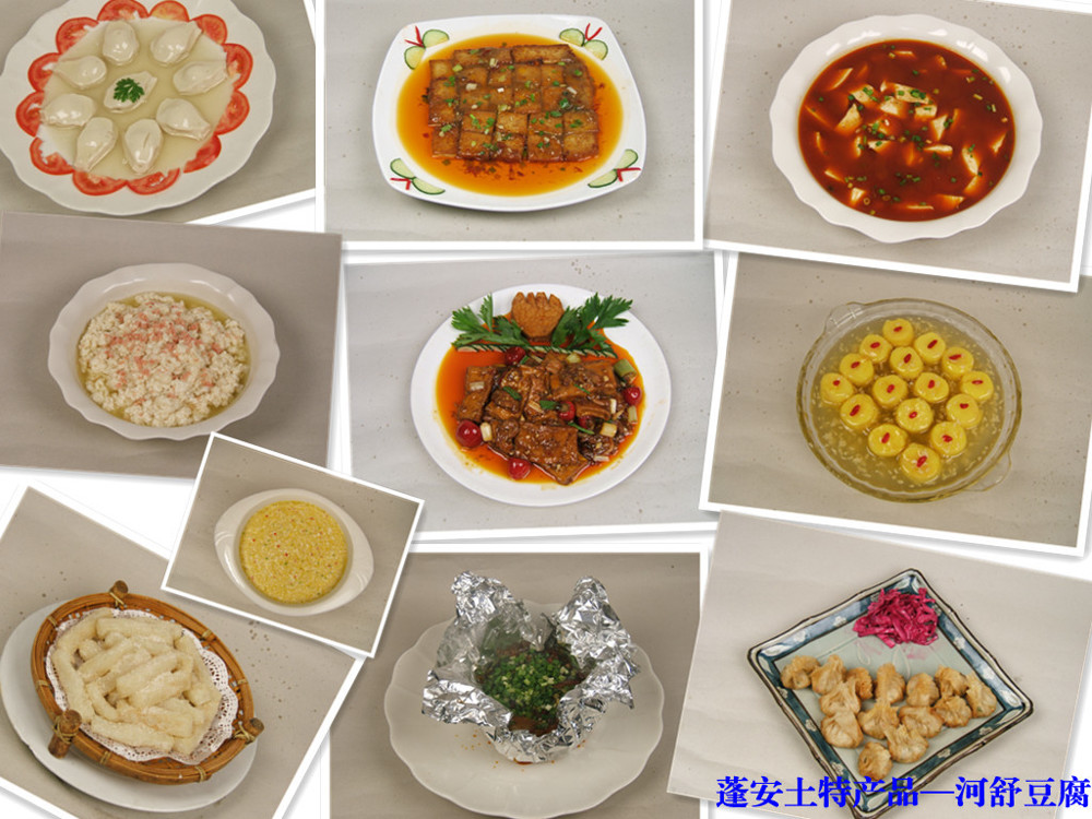 4、蓬安河舒豆腐