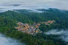 【美丽中国】可求可遇，景迈山‖柳红樱 