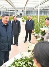 20250321四川日报图片