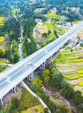  20250402四川日报图片