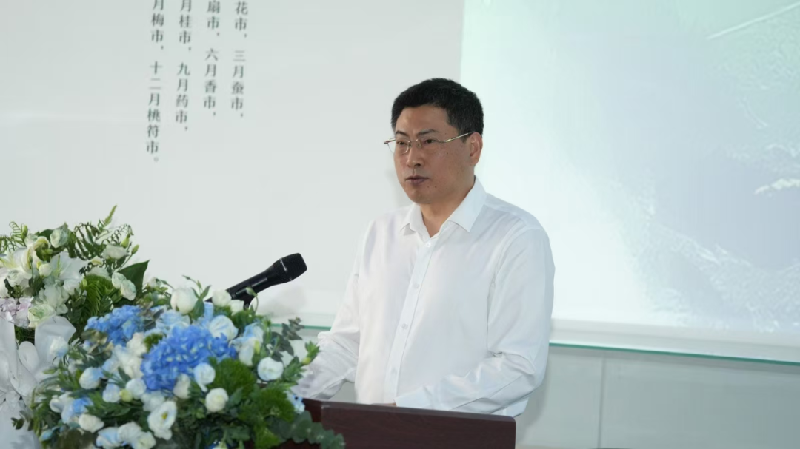 图片45
