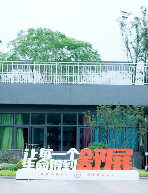 图片7