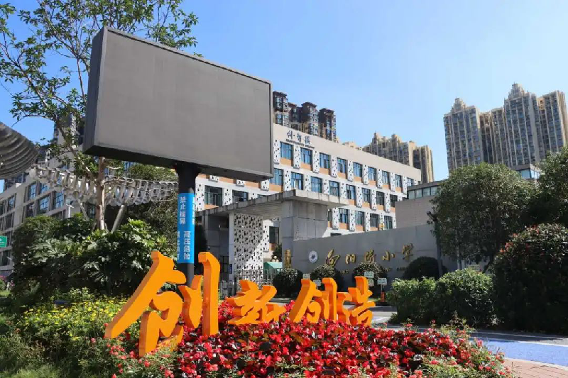 图片6