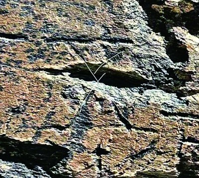 读“昆仑石刻”图像