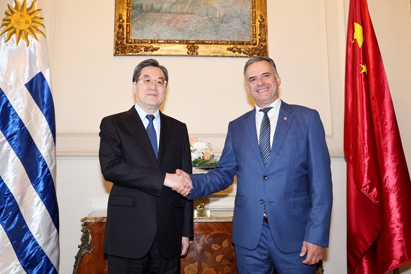 丁薛祥访问乌拉圭「相关图片」