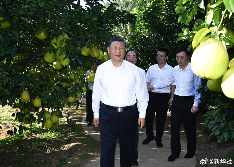 习近平在广东省梅州市考察调研「相关图片」