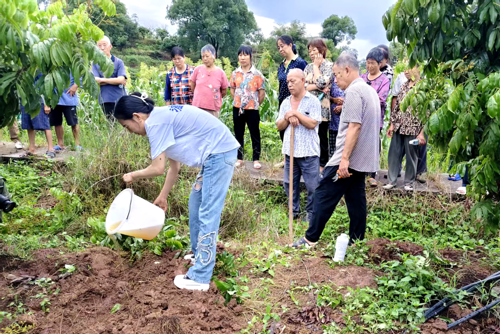 泸县返乡创业指导员武万琼(前排一,全国三八红旗手、四川省劳动模范)为返乡创业群众开展果树栽种、管理技术示范培训 泸县返乡创业指导员武万琼(前排一,全国三八红旗手、四川省劳动模范)为返乡创业群众开展果树栽种、管理技术示范培训