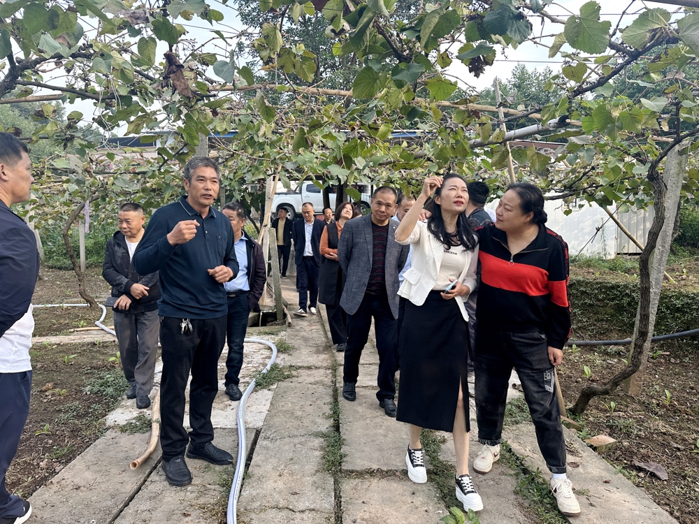 泸县返乡创业指导员杜相南(前排左二)在自己创办的泸县紫桂缘家庭农场向有创业意愿前来参观的返乡人员分享创业经验 泸县返乡创业指导员杜相南(前排左二)在自己创办的泸县紫桂缘家庭农场向有创业意愿前来参观的返乡人员分享创业经验