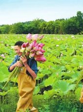 20190626四川日报图片