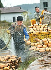 20190109四川日报图片