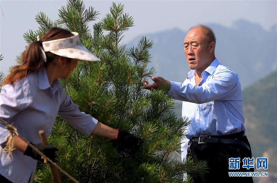 (新华全媒头条·图文互动)(12)精神之渠永不断流——红旗渠精神新时代传承录