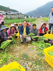 20200826四川日报图片