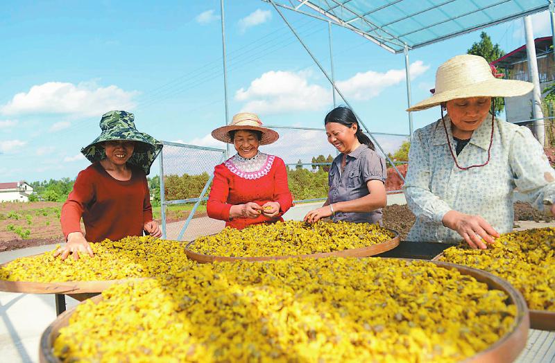 4f9efd8ecd9b2450051b9903ab6e5f60.jpg (800×524)