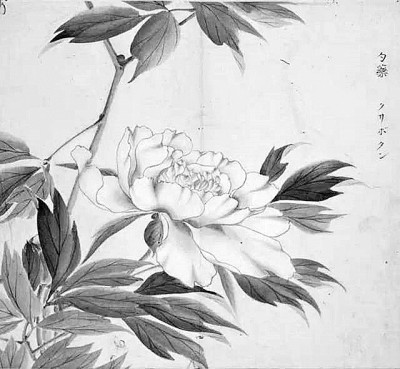 作为“经”的《诗经》——从《毛诗传笺》谈汉代《诗经》诠释