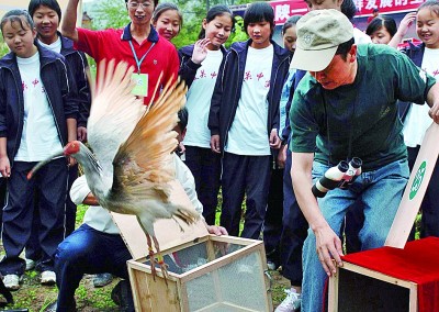 从7只到7000只：“东方宝石”朱鹮的繁育奇迹