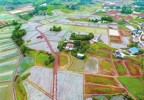 岳池县中国川菜地道食材基地一角