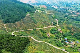 “川报号”飞跃龙泉山 层峦叠嶂似画屏