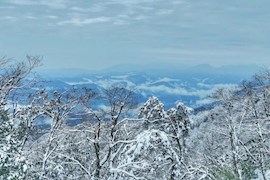 阳春三月，瓦屋山迎来春雪 想来游玩先网上预约哦！