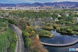 西昌邛海湿地：花香鸟语满园春色待君来