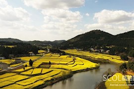 云赏花︱花开盛景，赏绵阳春日水墨画卷