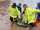 暴雨来袭：乐山特警洪水中营救群众