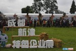 NEWS_C2BAA86ADF1FA4BA0635B68BA1CF844C.JPG