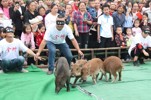 NEWS_67E65C2D90085965D5DFC99E2B3B82D8.JPG