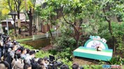 成都大熊猫基地2020届萌娃报到，已准备好出道!