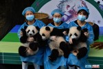 NEWS_E068DFC493C9C5620F788F0B53A35B48.JPG
