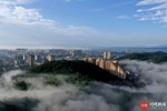 NEWS_8FAD2AB88235161D28D8A0B84A7EF738.JPG