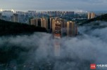 NEWS_D58CE4B5897B0E8519112C245041E867.JPG