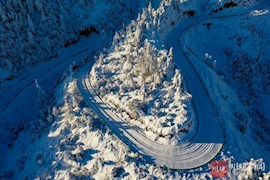 组图︱雪国韵致龙苍沟 打卡冰雪童话世界