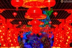 点亮金沙！金沙彩灯光影艺术展即将开幕