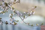 NEWS_D697CC05E3CC24781604A224BEB6D8A7.JPG