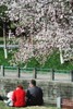 NEWS_F95F576BE15EA6444F62B630310C9062.JPG