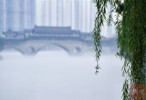 NEWS_2AB7F784B77228B7E78F089A5C7A1FF9.JPG