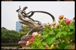 芙蓉盛放！成都，美醉了！