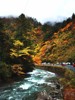 四姑娘山秋日 水墨丹青画中游