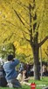 NEWS_2947F20344F99F1093474F78E1A6F3FA.JPG