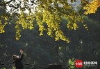 NEWS_1681CB5E4235F217A63E536D0CEACF9B.JPG