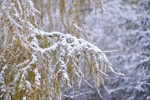 NEWS_522F75C18CBCB4CFAB56F1BEA71924BE.JPG