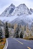 云游四川，半山彩林半山雪丨四姑娘山，今天换上了“混搭”彩色新衣