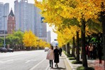 NEWS_20F6F28201464D78E67B02EAAD87844E.JPG