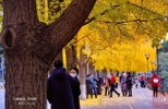 NEWS_9E8FEED3C29A533A26B00FC19A95E862.JPG