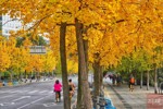 NEWS_B873D127D841986D7CC618018135DFF1.JPG