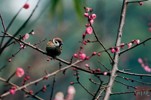 NEWS_3FAEA8CEE6427724AE4C955DED3DB3C3.JPG