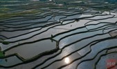 NEWS_84E40472C3BE4D6C0F71D1919ECF3DEF.JPG