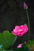 NEWS_75FE0D35569FFEAD7B5C3877083CE27F.JPG