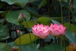 NEWS_BEB329C7161DEBB2C3A2B4C47394D7A5.JPG